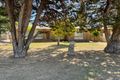 Property photo of 19 Hale Street Rangeway WA 6530