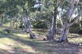 Property photo of 54 Porter Road Allan QLD 4370