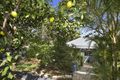 Property photo of 19 Beryl Crescent Holland Park QLD 4121