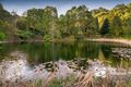 Property photo of 11 Paternoster Road Emerald VIC 3782