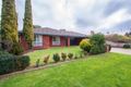 Property photo of 6 Kooyong Court Echuca VIC 3564