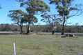 Property photo of 10324 Tasman Highway Little Swanport TAS 7190