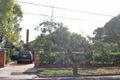 Property photo of 18 Oak Crescent Caulfield North VIC 3161