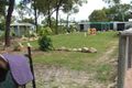 Property photo of 9 Rhyl Court Mount Low QLD 4818