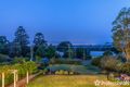 Property photo of 13-15 Palm Grove Avenue Tamborine Mountain QLD 4272