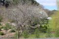 Property photo of 2 Allumba Drive Ironbank SA 5153