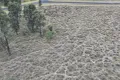 Property photo of 24 Constellation Avenue Coonabarabran NSW 2357