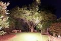 Property photo of 146 Waratah Avenue Dalkeith WA 6009