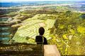 Property photo of 68 Brookview Place Bahrs Scrub QLD 4207