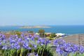 Property photo of 4 Millard Court Encounter Bay SA 5211