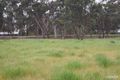 Property photo of 49 High Street Violet Town VIC 3669