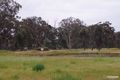 Property photo of 49 High Street Violet Town VIC 3669