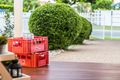 Property photo of 24 Sweetapple Place Manly West QLD 4179