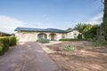 Property photo of 8 Castle Street Modbury SA 5092