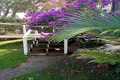 Property photo of 1556 Pittwater Road Mona Vale NSW 2103