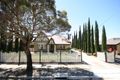 Property photo of 31 Wood Street Kurralta Park SA 5037