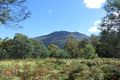 Property photo of 90 Gulf Road Liffey TAS 7301