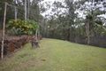 Property photo of 135 Bluegum Drive Wonglepong QLD 4275