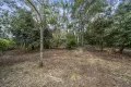 Property photo of 1-3 Banksia Road Springbrook QLD 4213