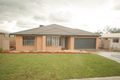 Property photo of 36 Flack Crescent Boorooma NSW 2650