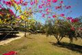 Property photo of 377 Power Road Widgee QLD 4570