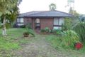 Property photo of 17 Wanjina Crescent Wanneroo WA 6065
