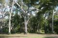 Property photo of 5 Mahogany Drive Forrest Beach QLD 4850