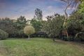 Property photo of 14 Mrs Macquarie Drive Frenchs Forest NSW 2086