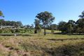 Property photo of 28 Figtree Drive Diamond Beach NSW 2430