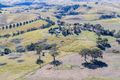 Property photo of 1769 Myrtle Mountain Road Candelo NSW 2550