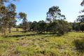 Property photo of 28 Figtree Drive Diamond Beach NSW 2430