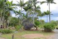 Property photo of 3454 Mirani-Mount Ossa Road Mount Ossa QLD 4741