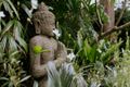Property photo of 52 Kevin Avenue Avalon Beach NSW 2107