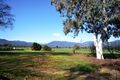 Property photo of 32 Cottrells Lane Tawonga VIC 3697