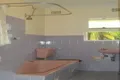 Property photo of 22/25 Ormond Street Ashfield NSW 2131
