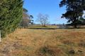 Property photo of 516 Majors Creek Road Braidwood NSW 2622