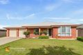 Property photo of 19 Bindari Avenue Glenfield Park NSW 2650