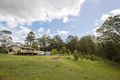 Property photo of 164 Bede Street Stroud NSW 2425