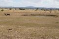 Property photo of 1-27 Worendo Street Veresdale QLD 4285