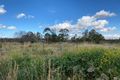 Property photo of 13 Allan Cunningham Road Scone NSW 2337