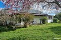 Property photo of 26841 Tasman Highway Goshen TAS 7216