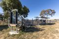 Property photo of 144 Waverley Road Mangoplah NSW 2652
