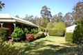 Property photo of 81B Jorgenson Lane Bellawongarah NSW 2535