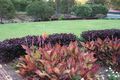 Property photo of 20 Wheatley Court Regency Downs QLD 4341