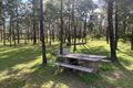 Property photo of 1381 Ryalls Road Hookswood QLD 4415