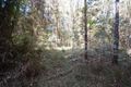 Property photo of 47 Kildeys Road Cootharaba QLD 4565