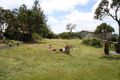 Property photo of 11 Moongalba Road Point Lookout QLD 4183