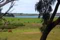 Property photo of 12 Hastings Street Rhyll VIC 3923