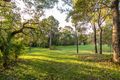 Property photo of 849 Skyring Creek Road Carters Ridge QLD 4563