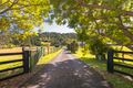 Property photo of 43 Shaws Pocket Road Luscombe QLD 4207